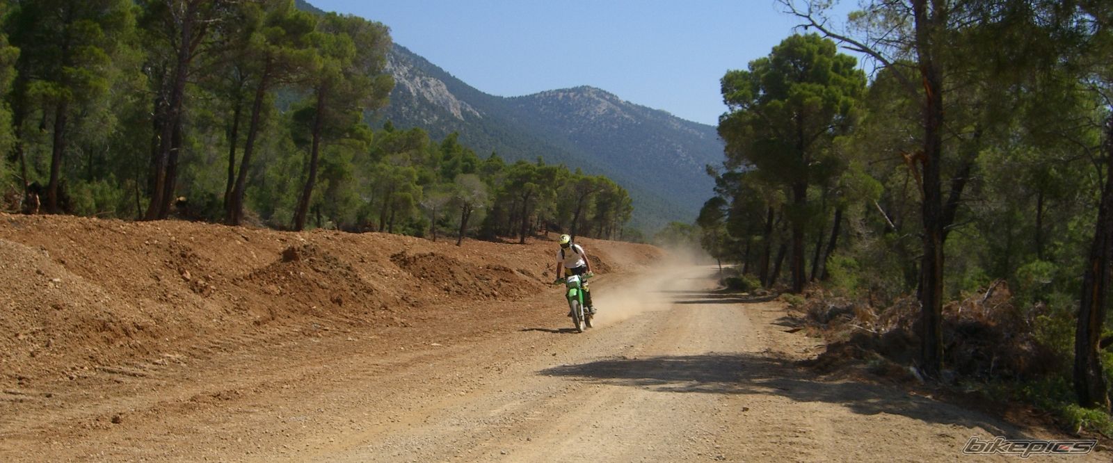 Bike Photo 1010698