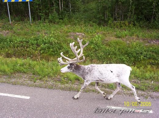 Photo 1010892