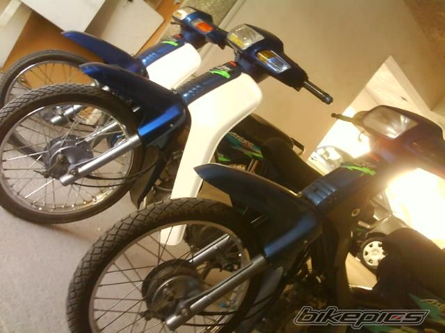 Photo 1010934