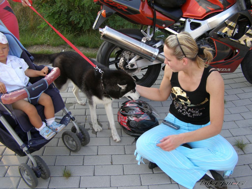 Photo 1010975