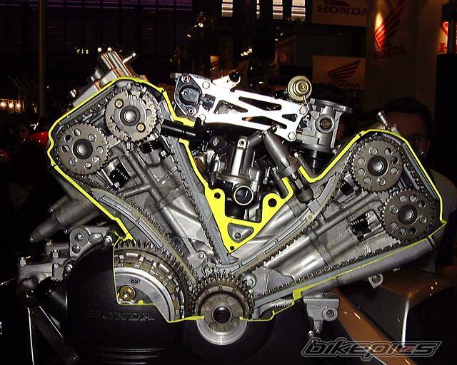 Photo 10110