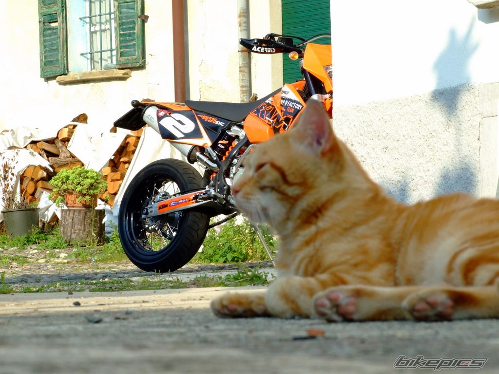 Bike Photo 1011016