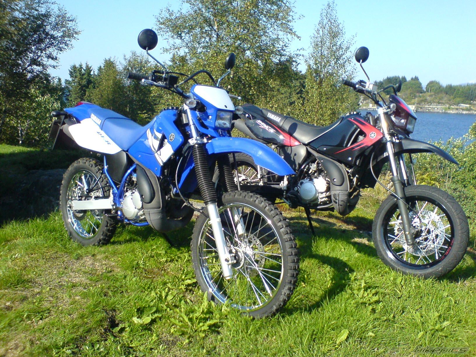 Bike Photo 1011028