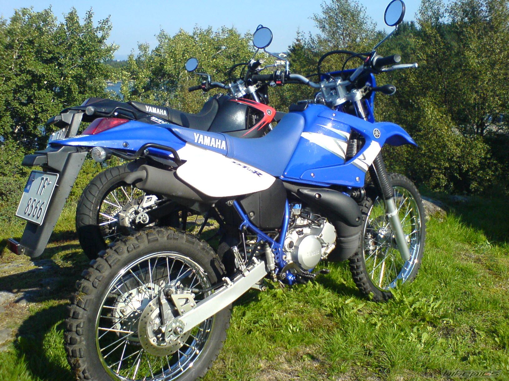 Bike Photo 1011030
