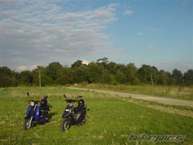 Photo 1011036