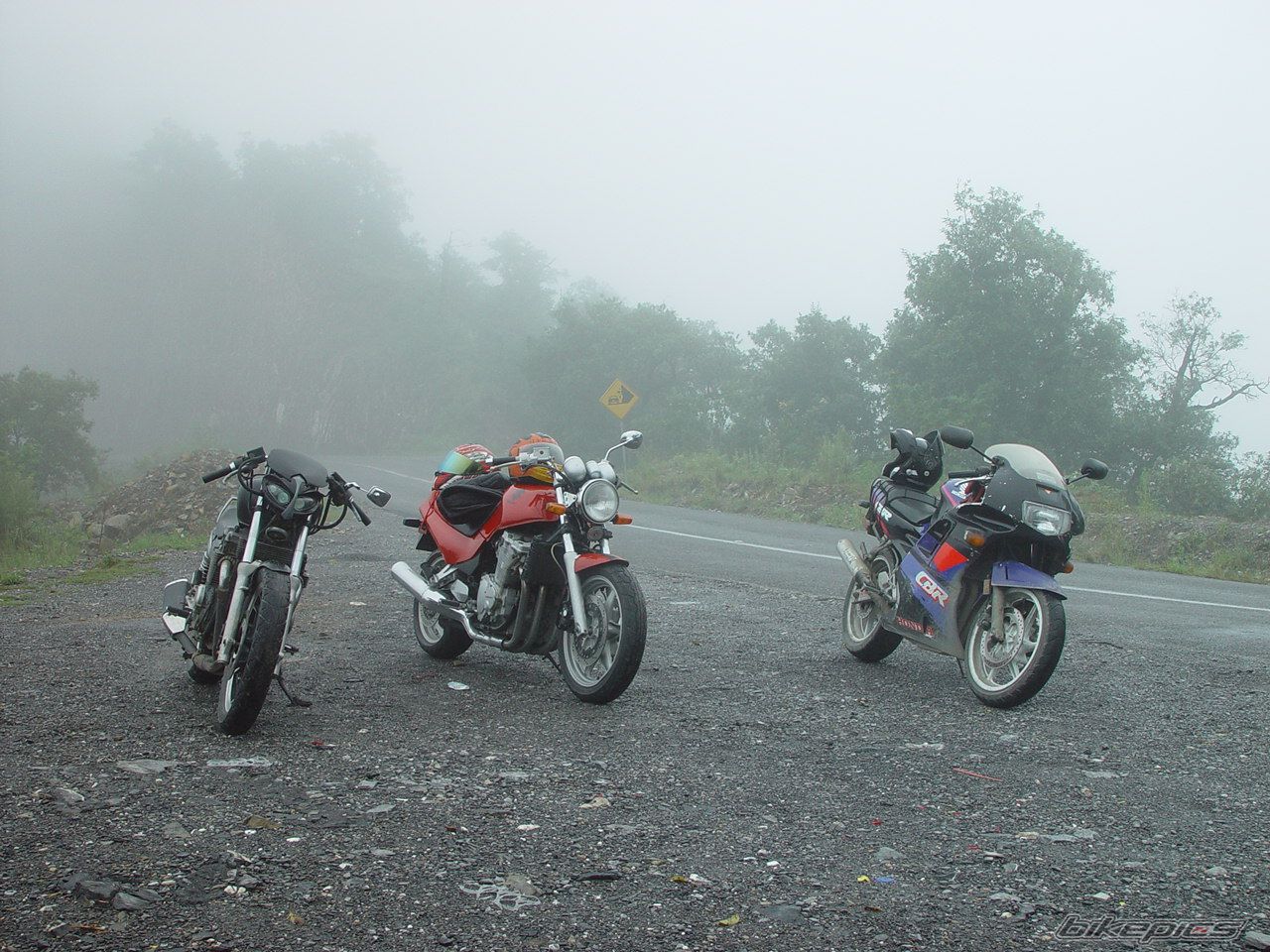 Photo 1011069