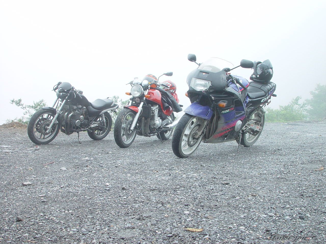 Photo 1011073