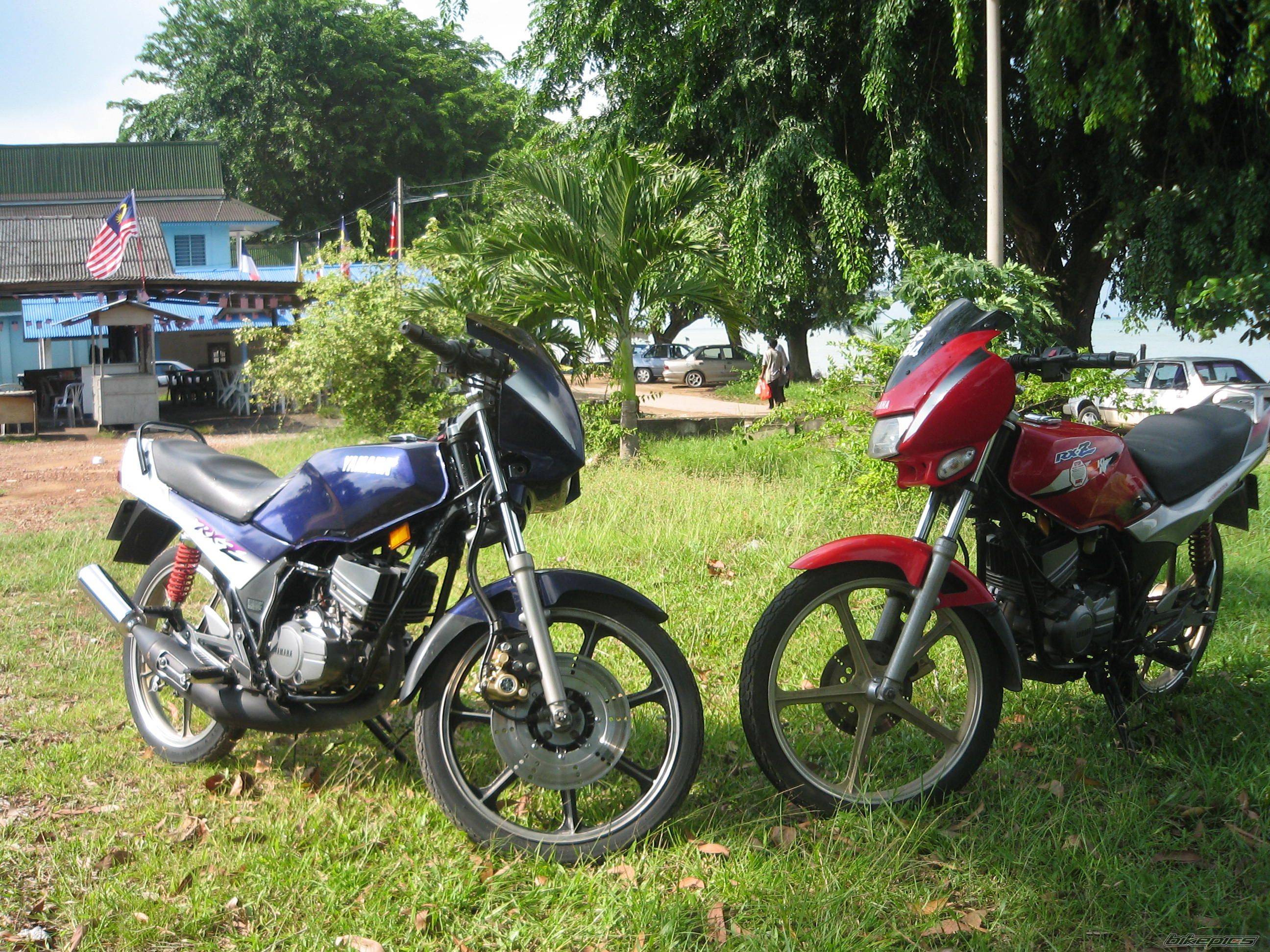 Photo 1011087