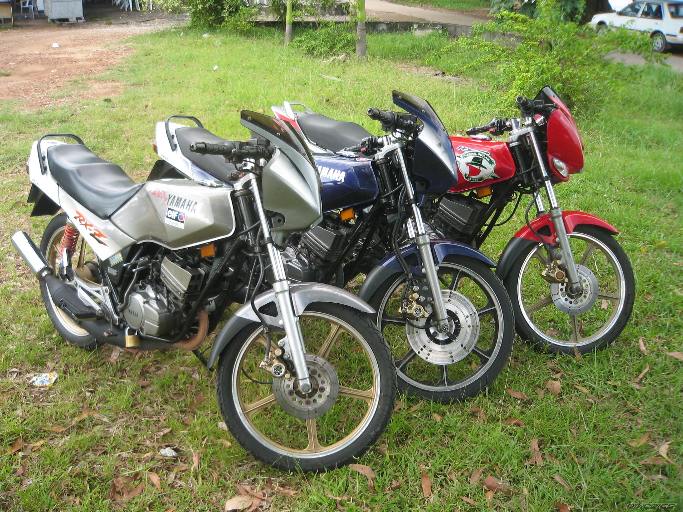 Photo 1011093