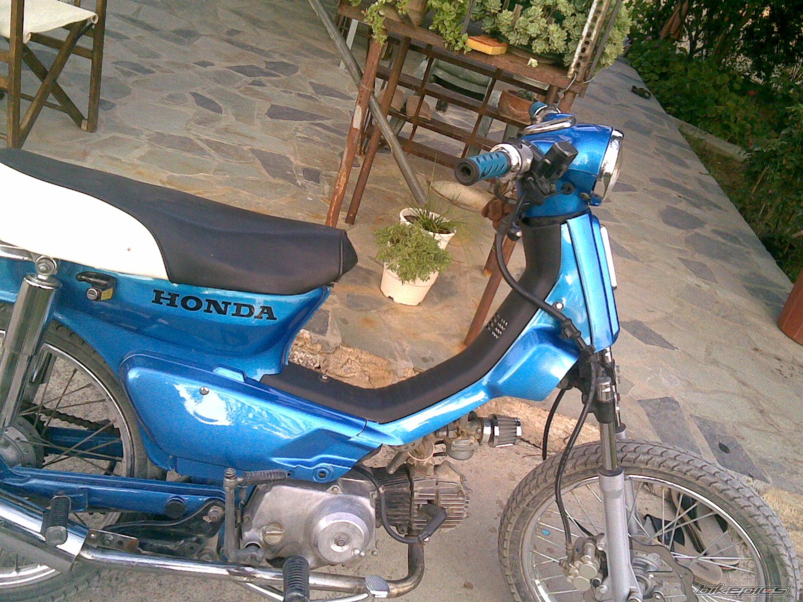 Photo 1011108