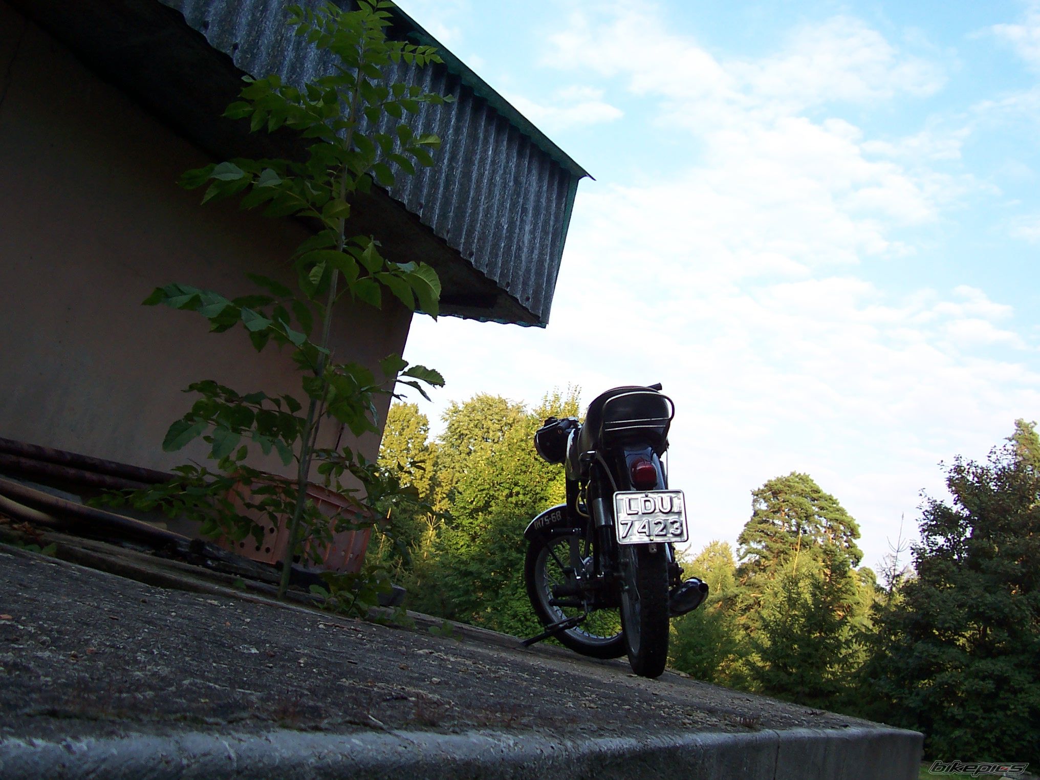 Photo 1011137