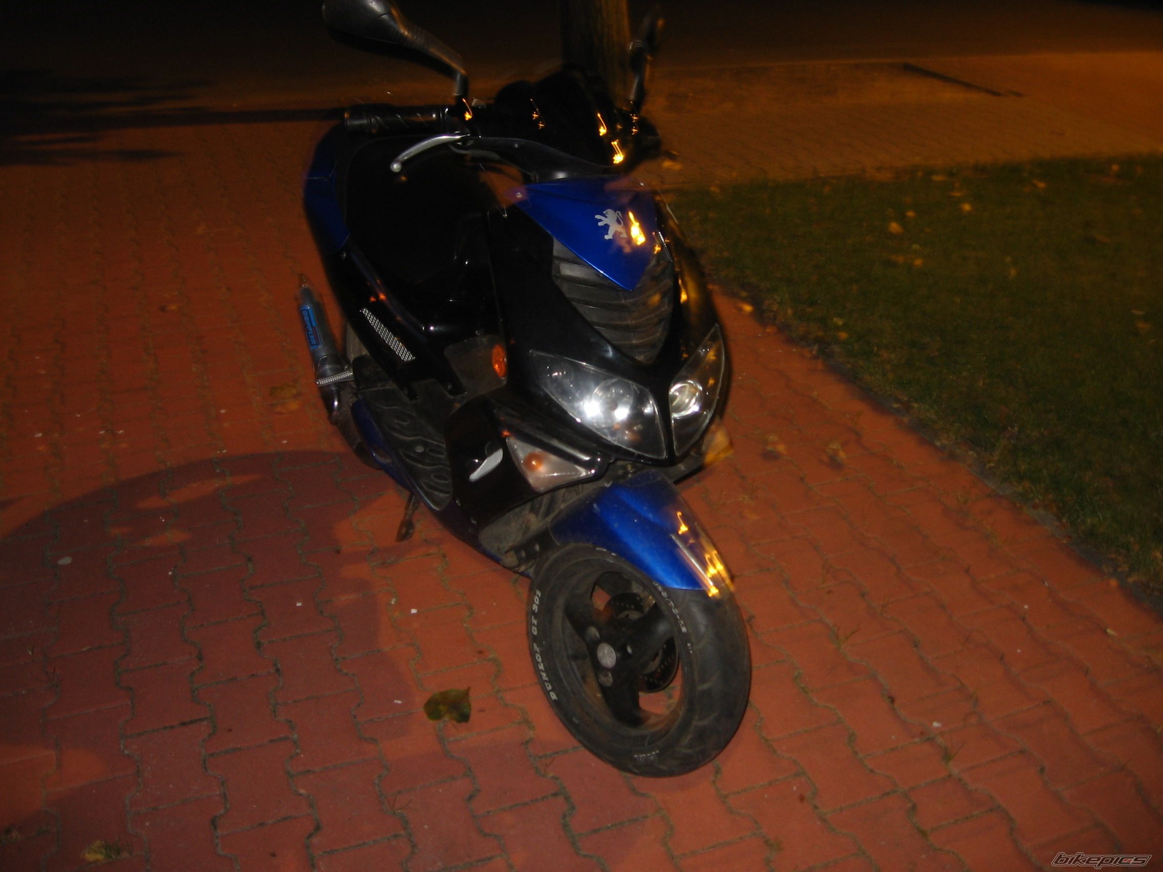 Photo 1011140