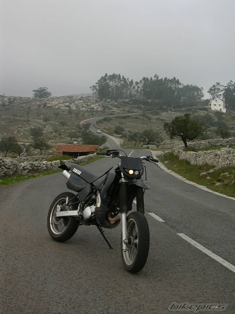 Photo 101140
