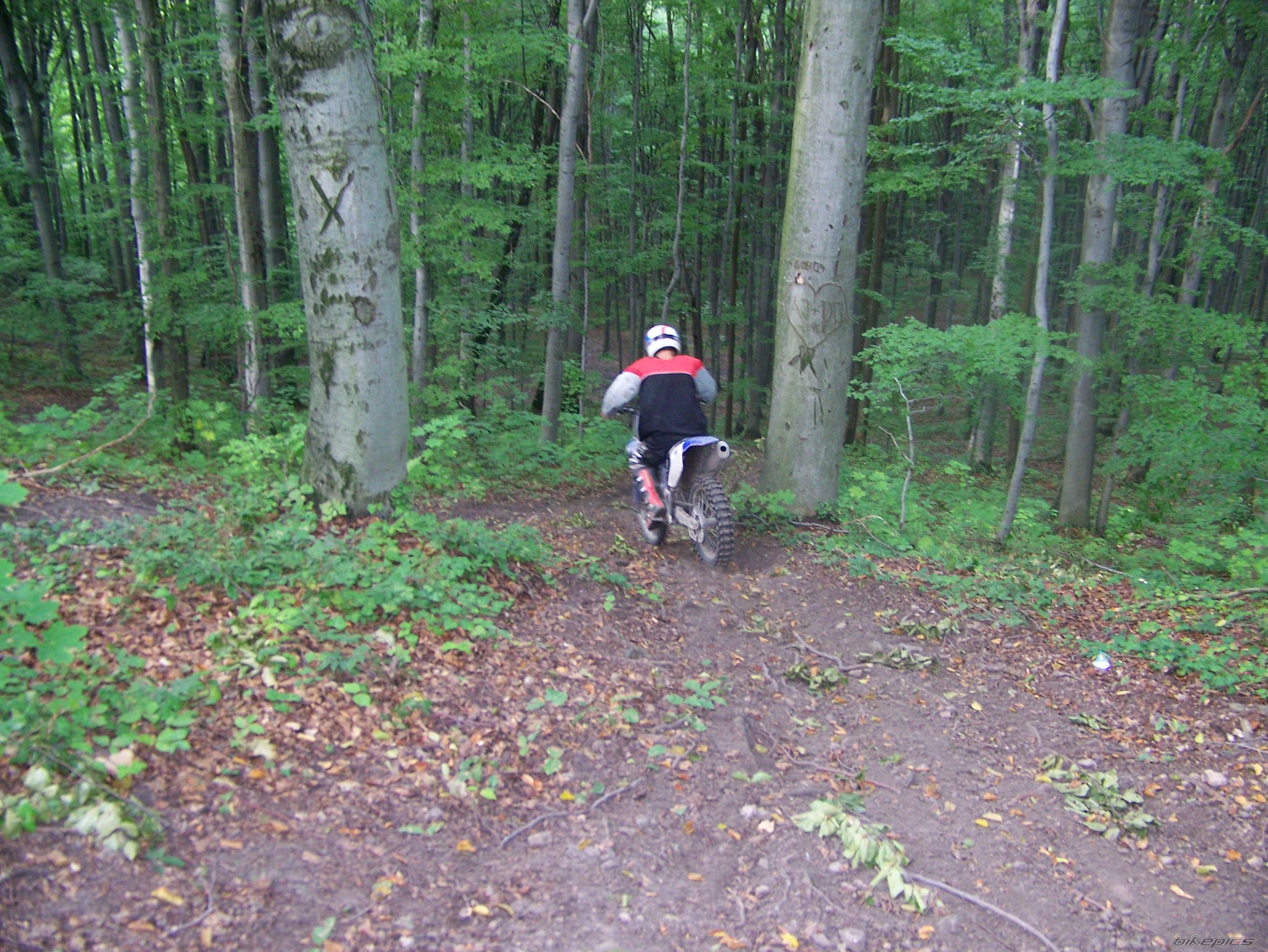 Bike Photo 1011404