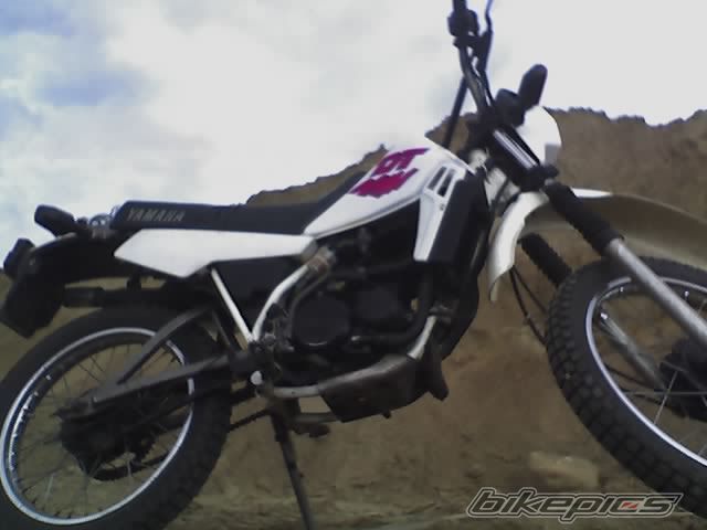 Photo 1011431