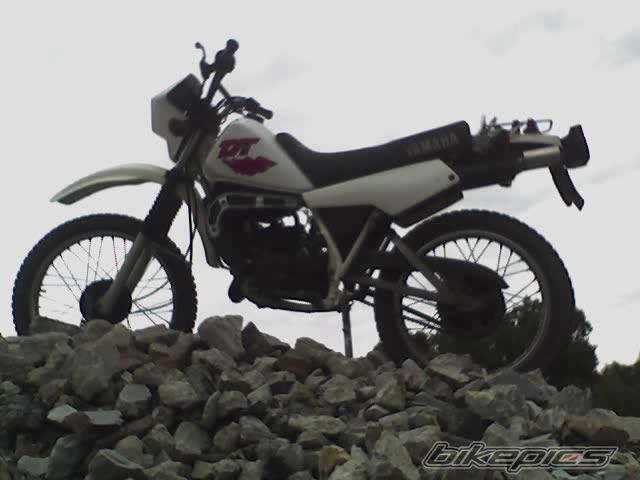 Photo 1011440