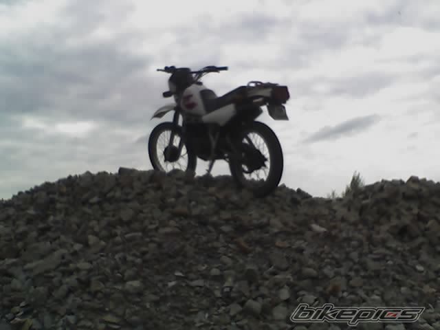 Photo 1011441