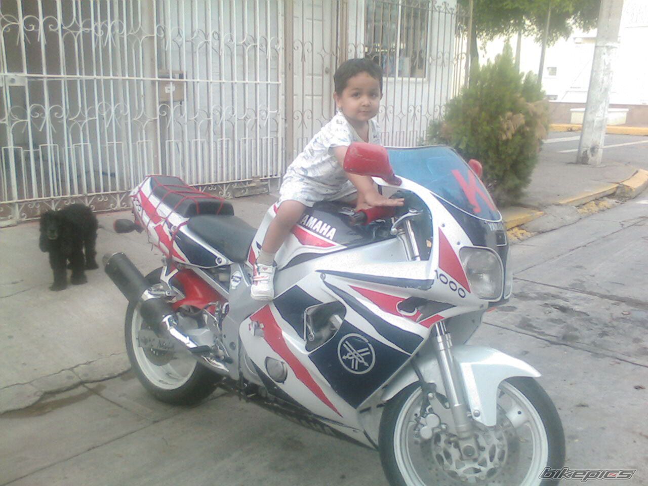 Photo 1011444