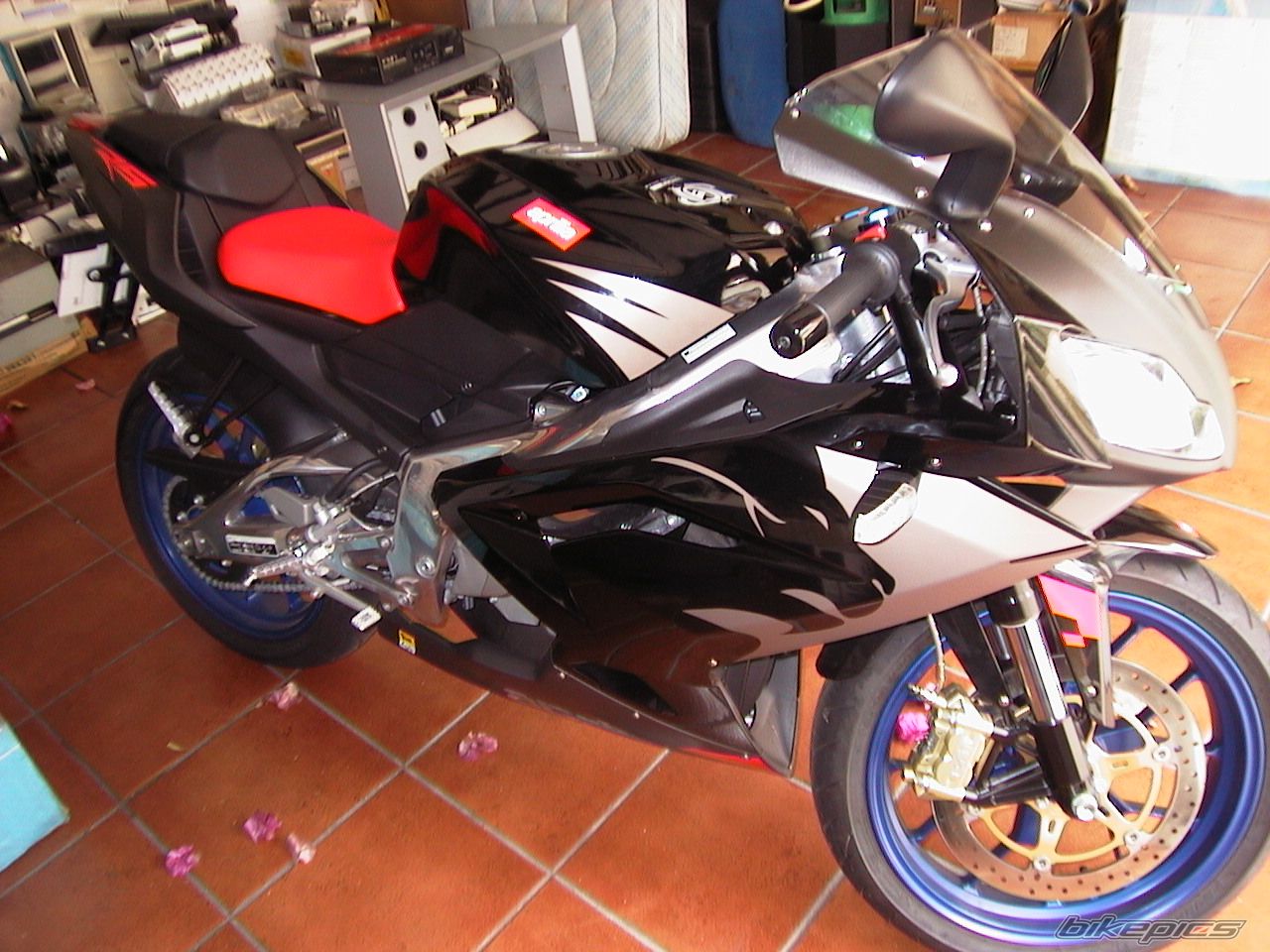 Photo 1011459