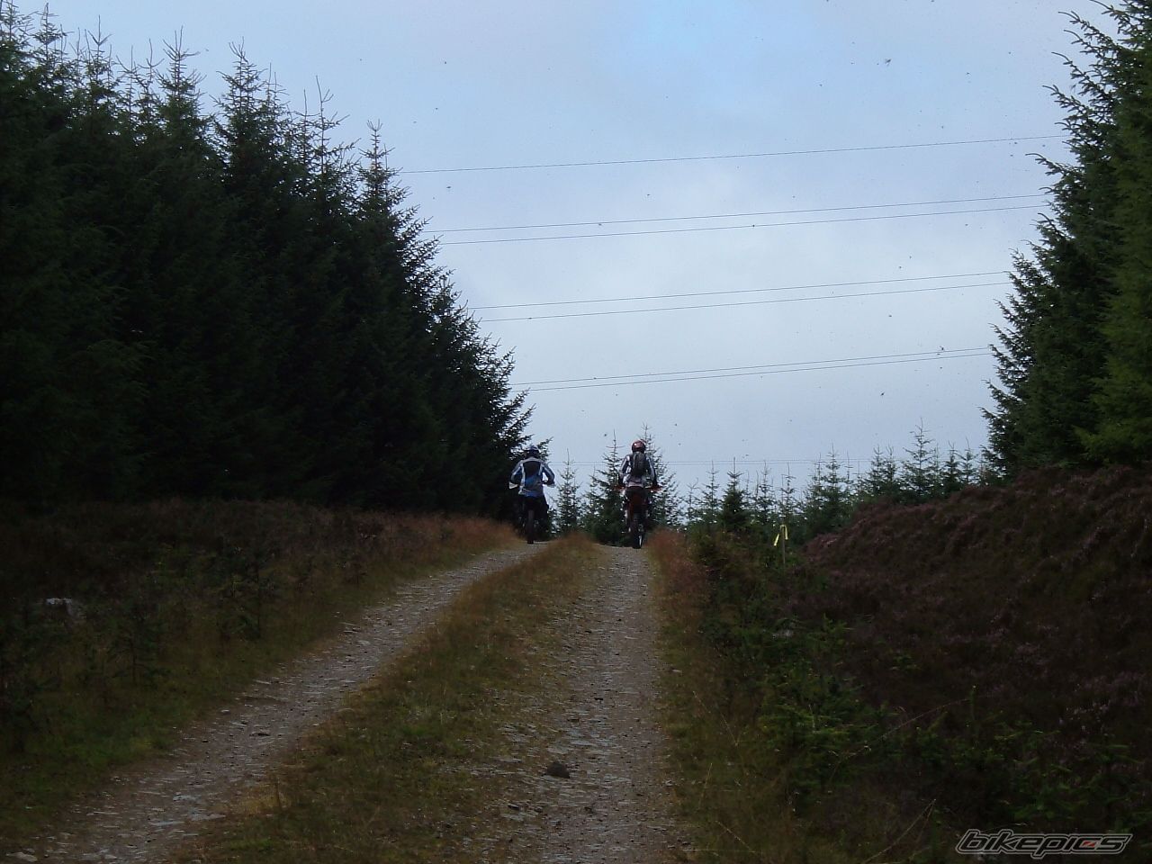 Photo 1011462