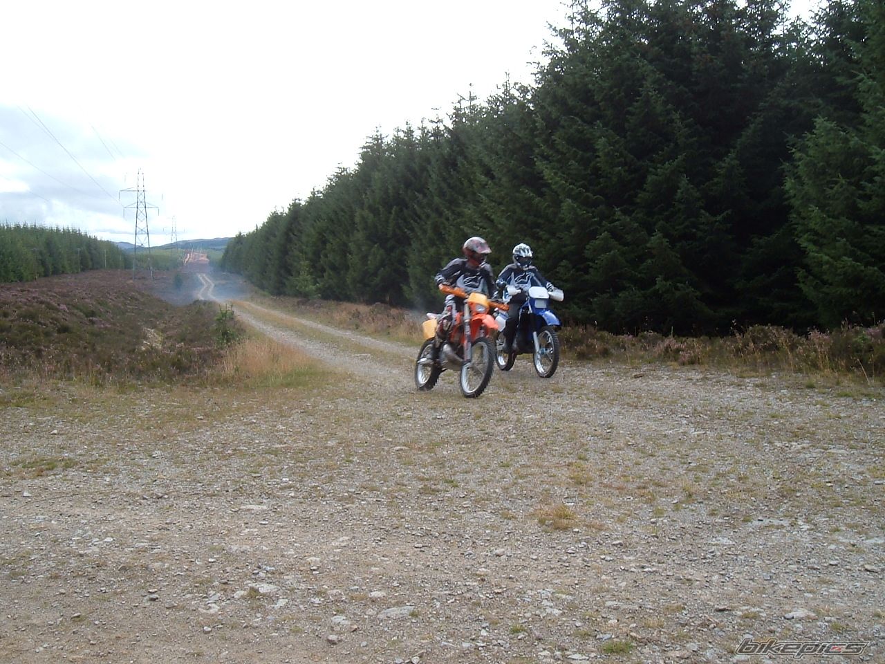 Photo 1011464