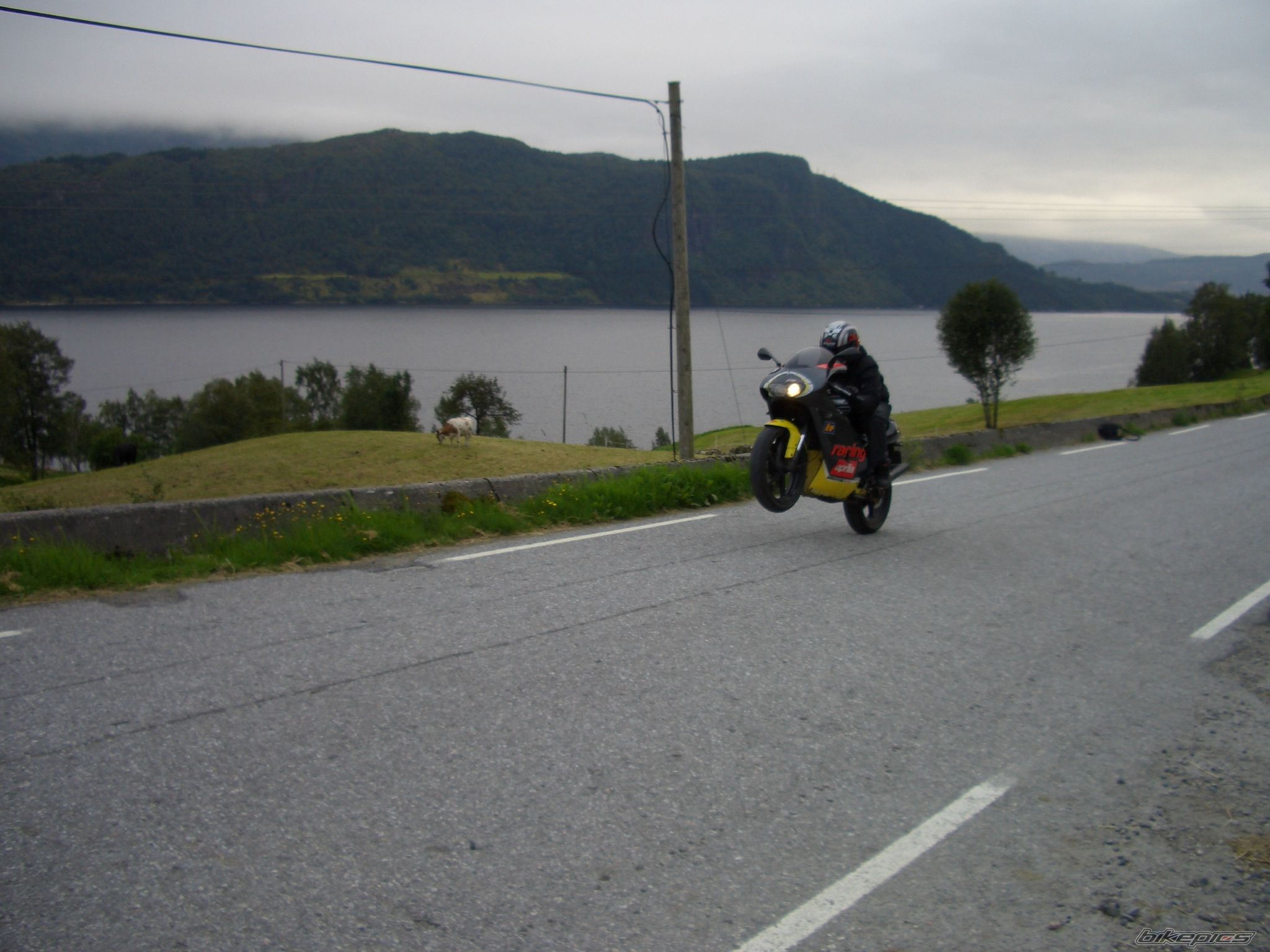 Photo 1011505