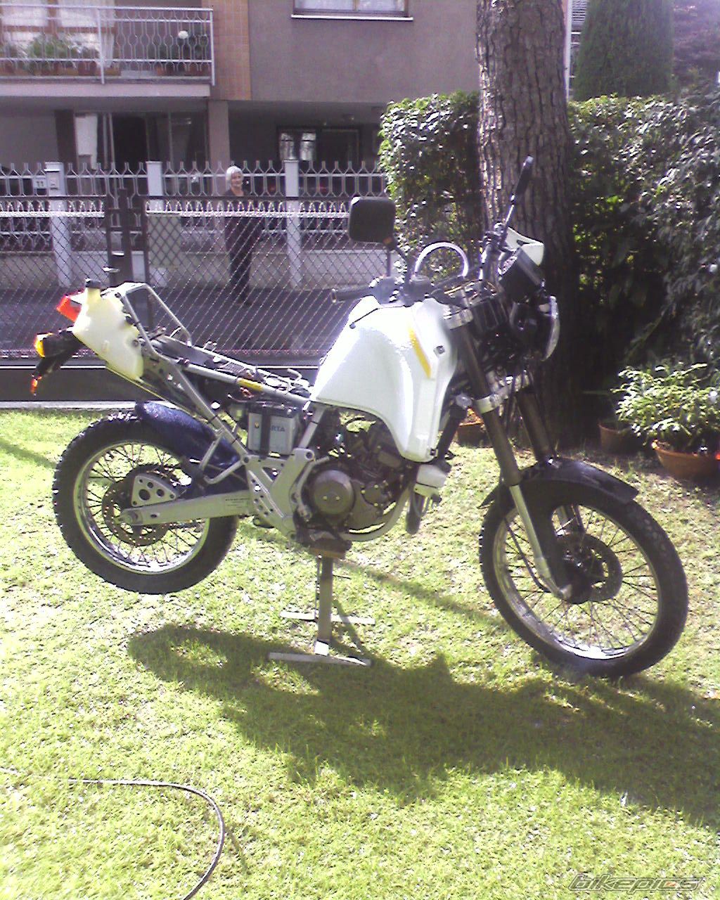 Photo 1011705
