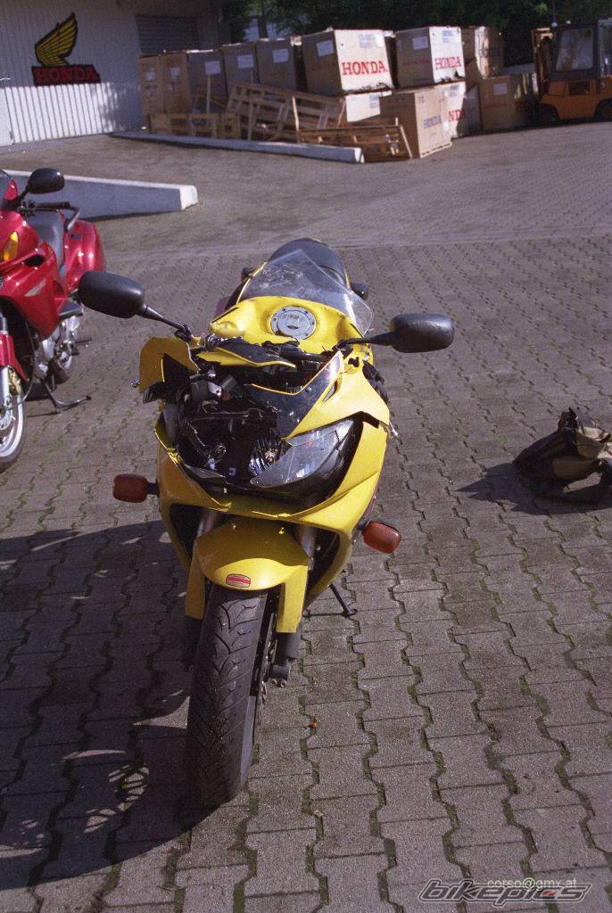 Photo 10118