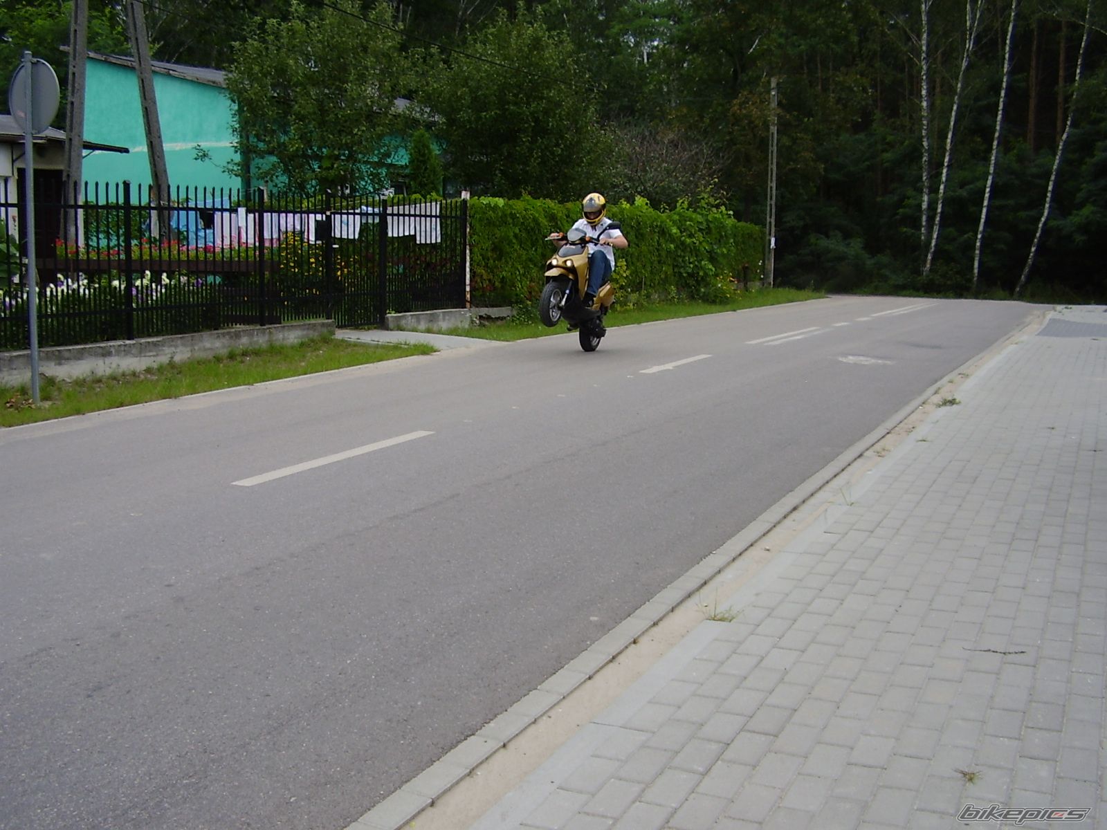 Photo 1011833