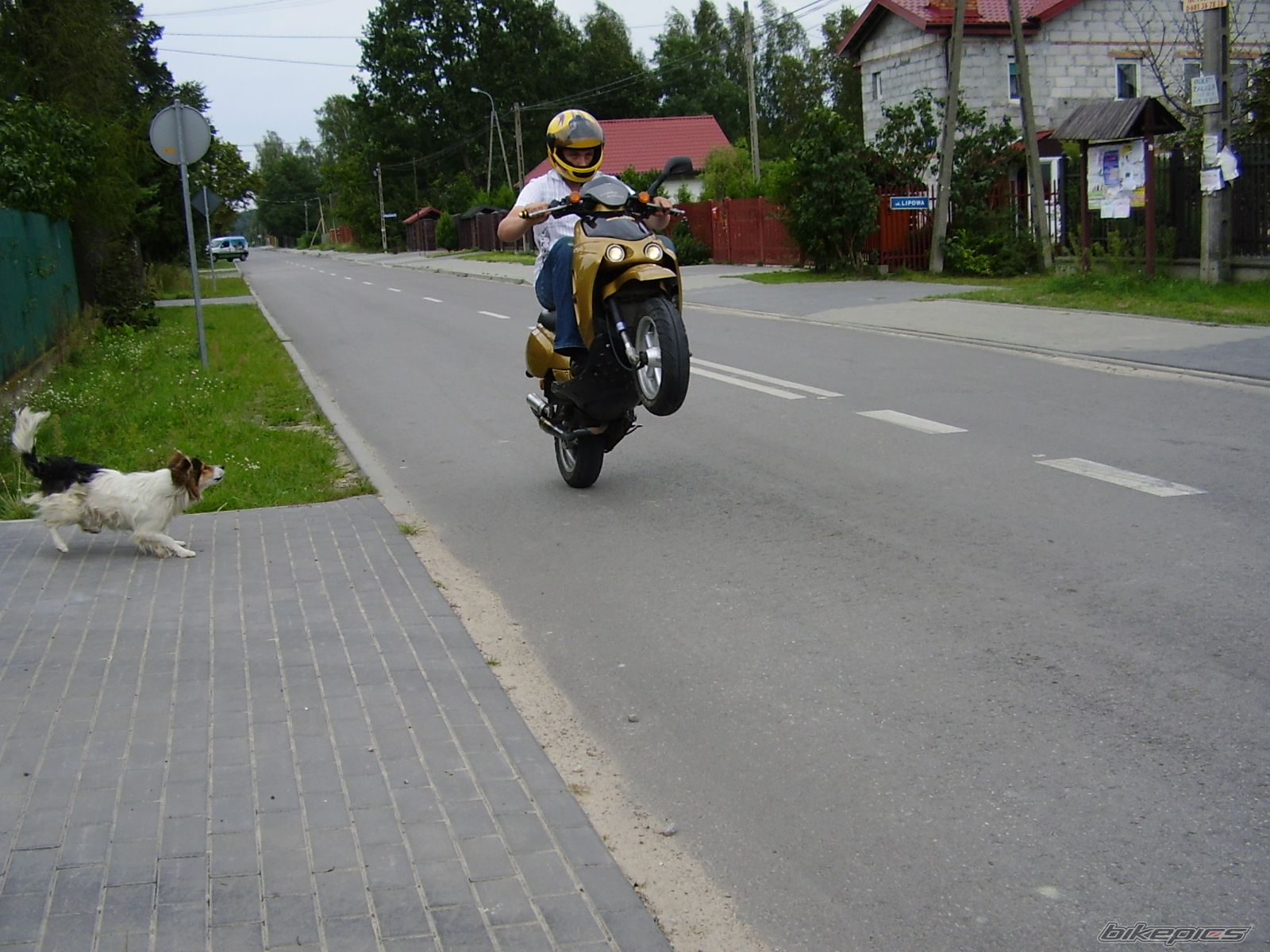 Photo 1011846