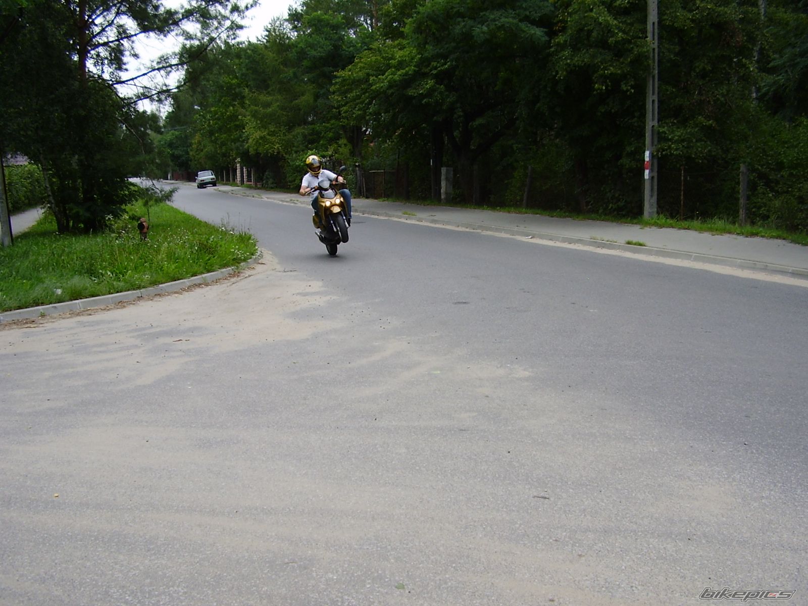 Photo 1011940