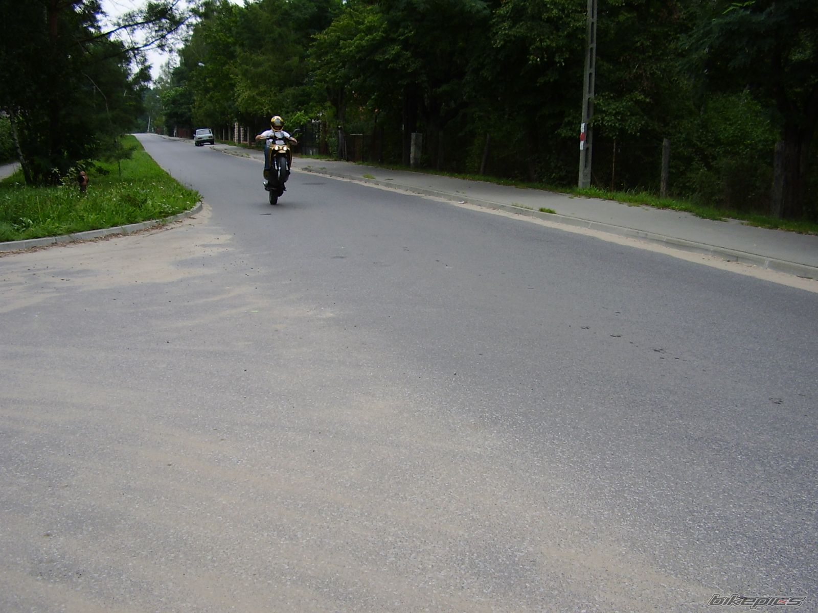Photo 1011957