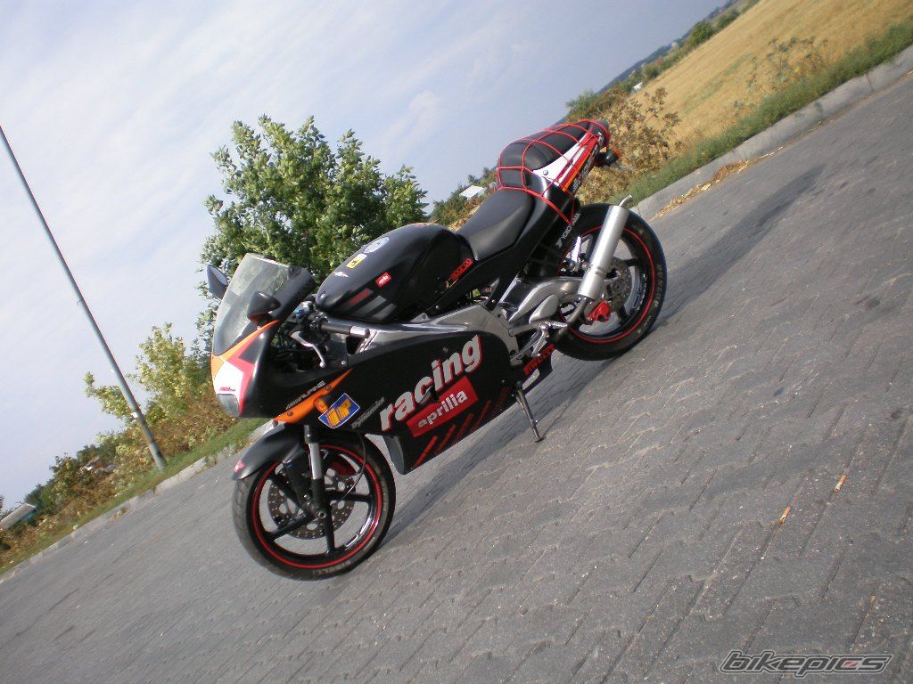 Photo 1011994