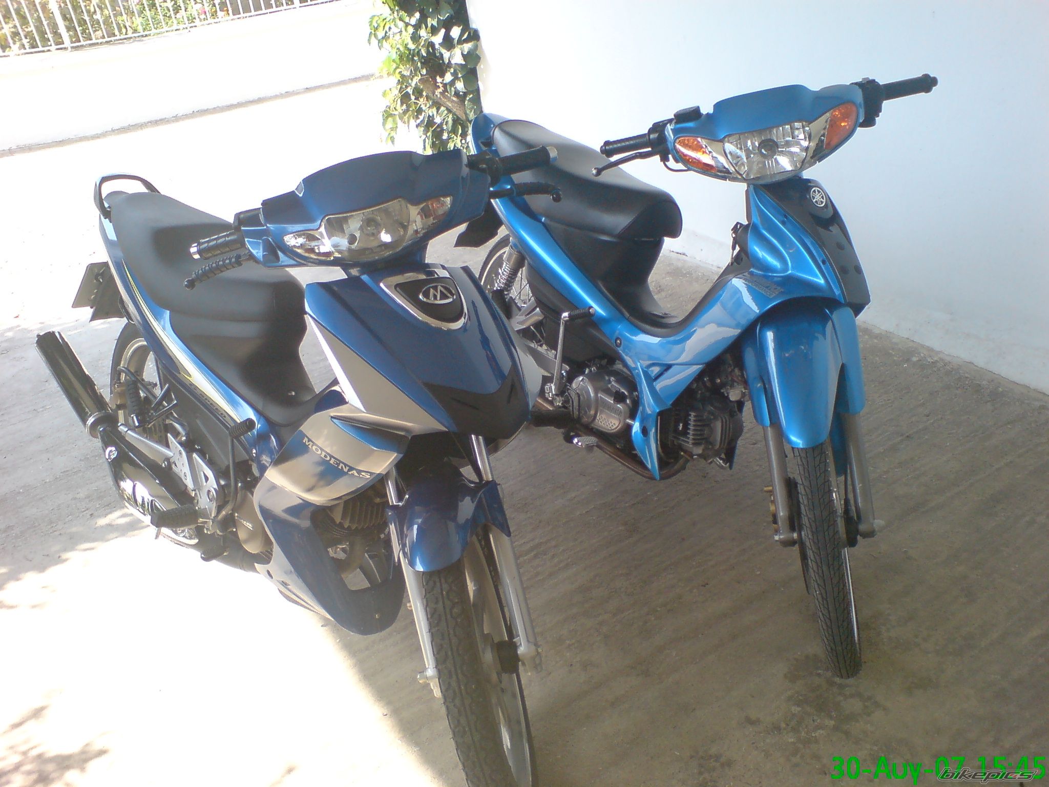 Photo 1012025