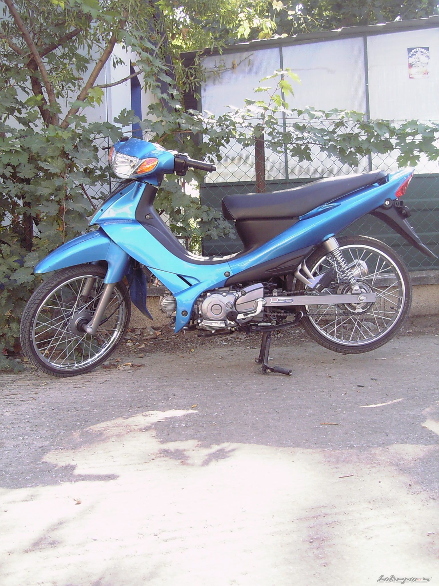 Photo 1012056
