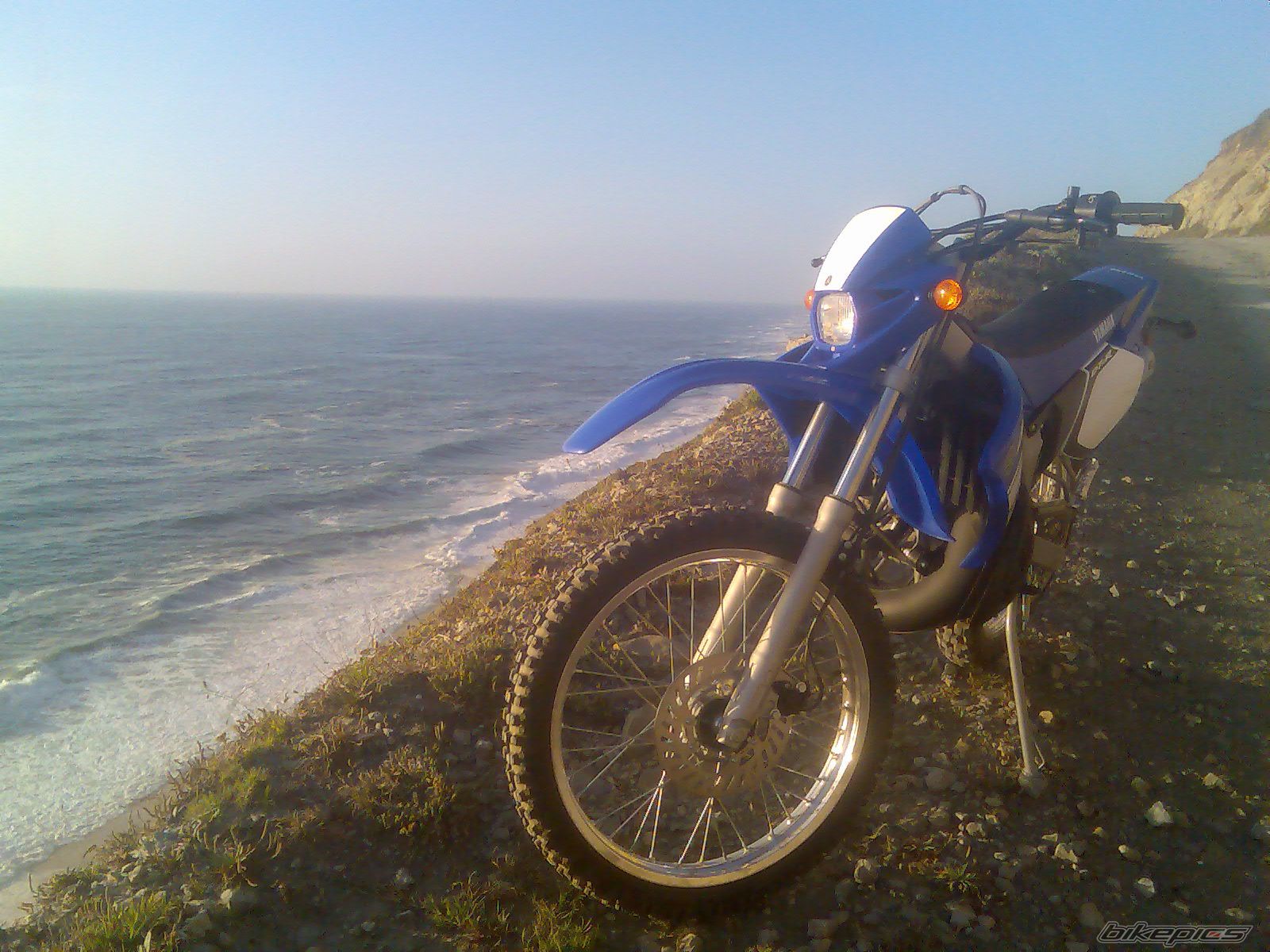 Photo 1012126