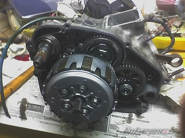 Photo 1012139