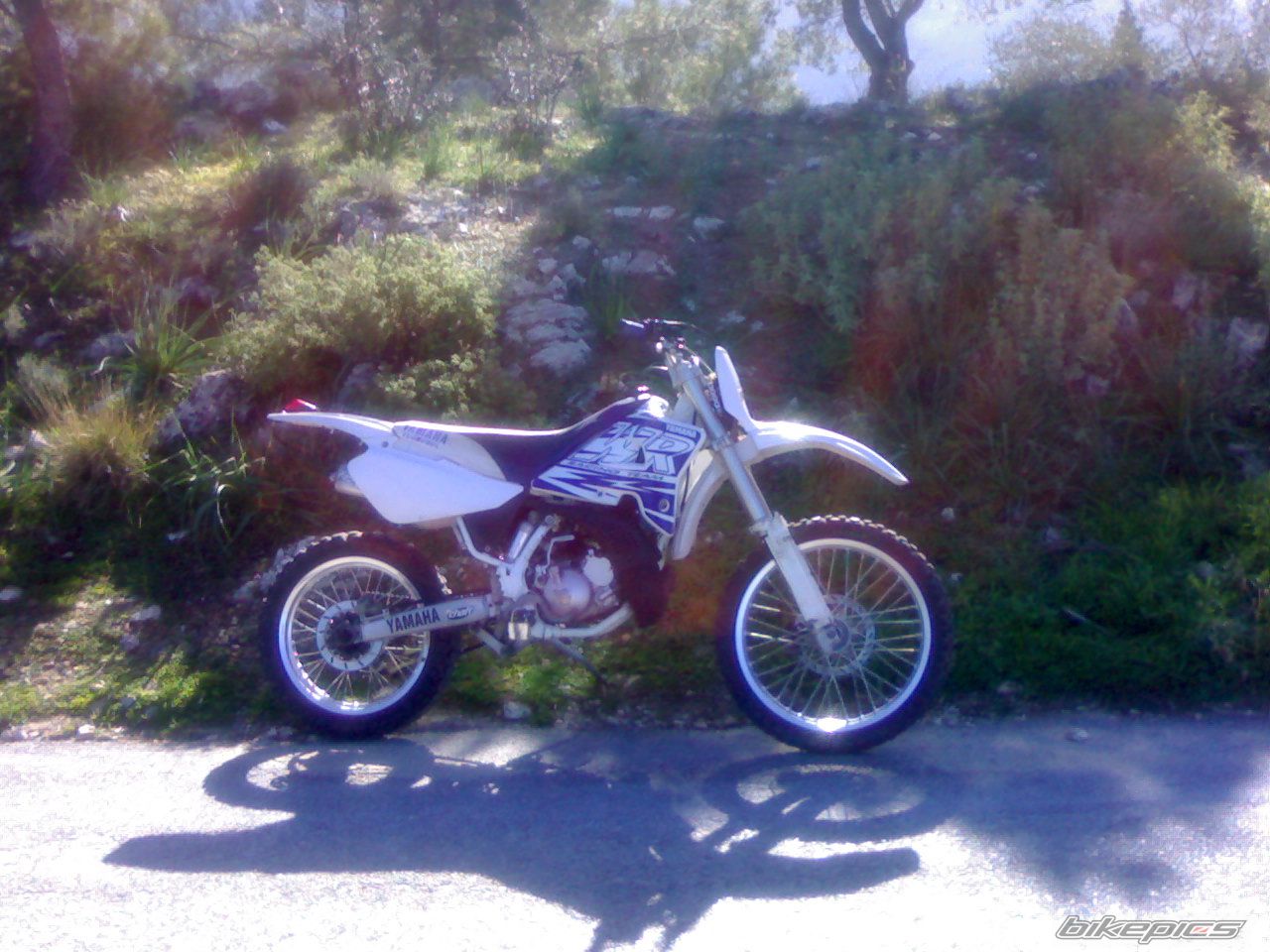 Photo 1012140