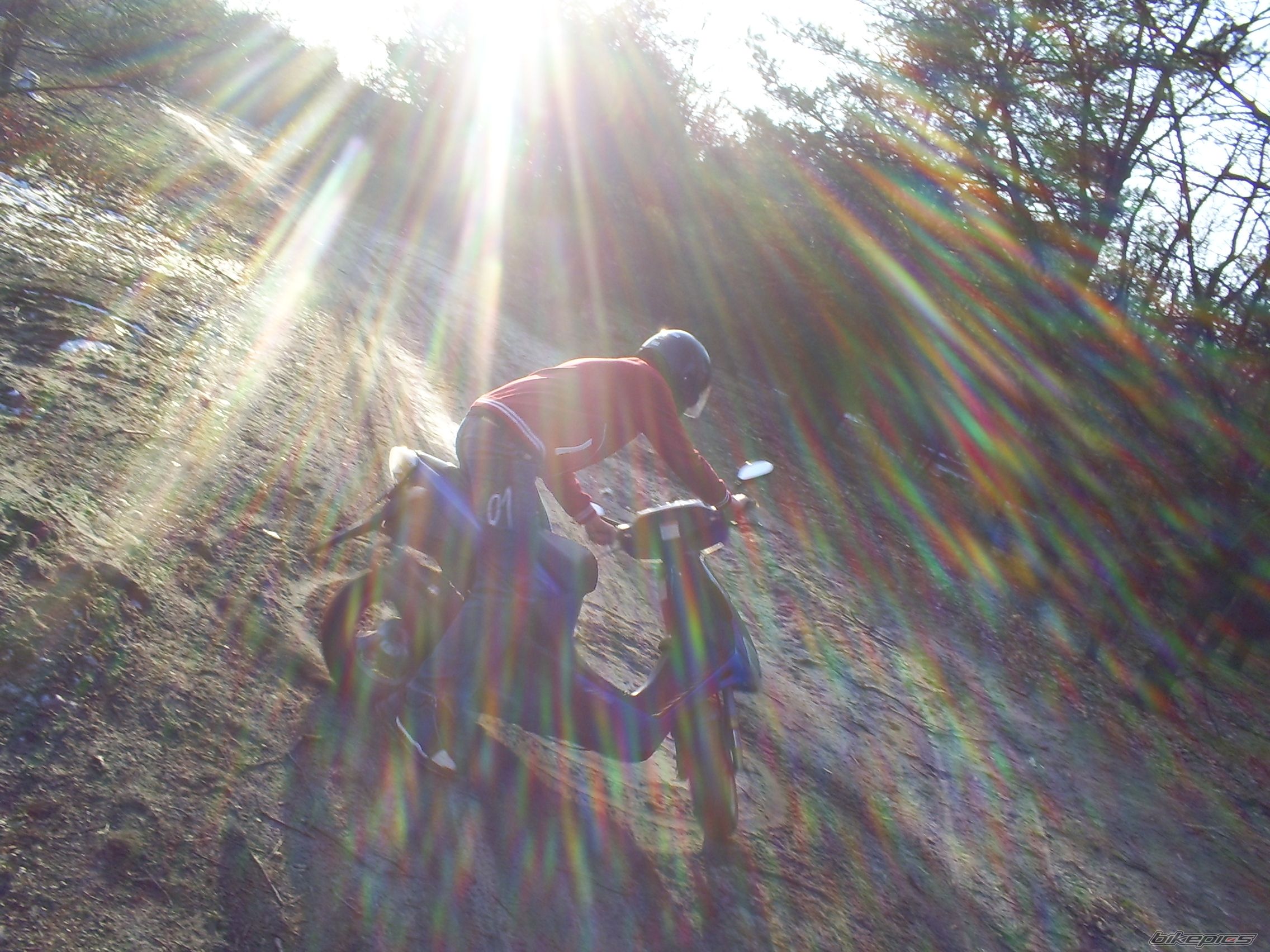 Bike Photo 1012246