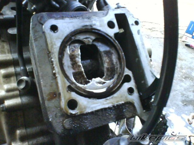 Bike Photo 1012360