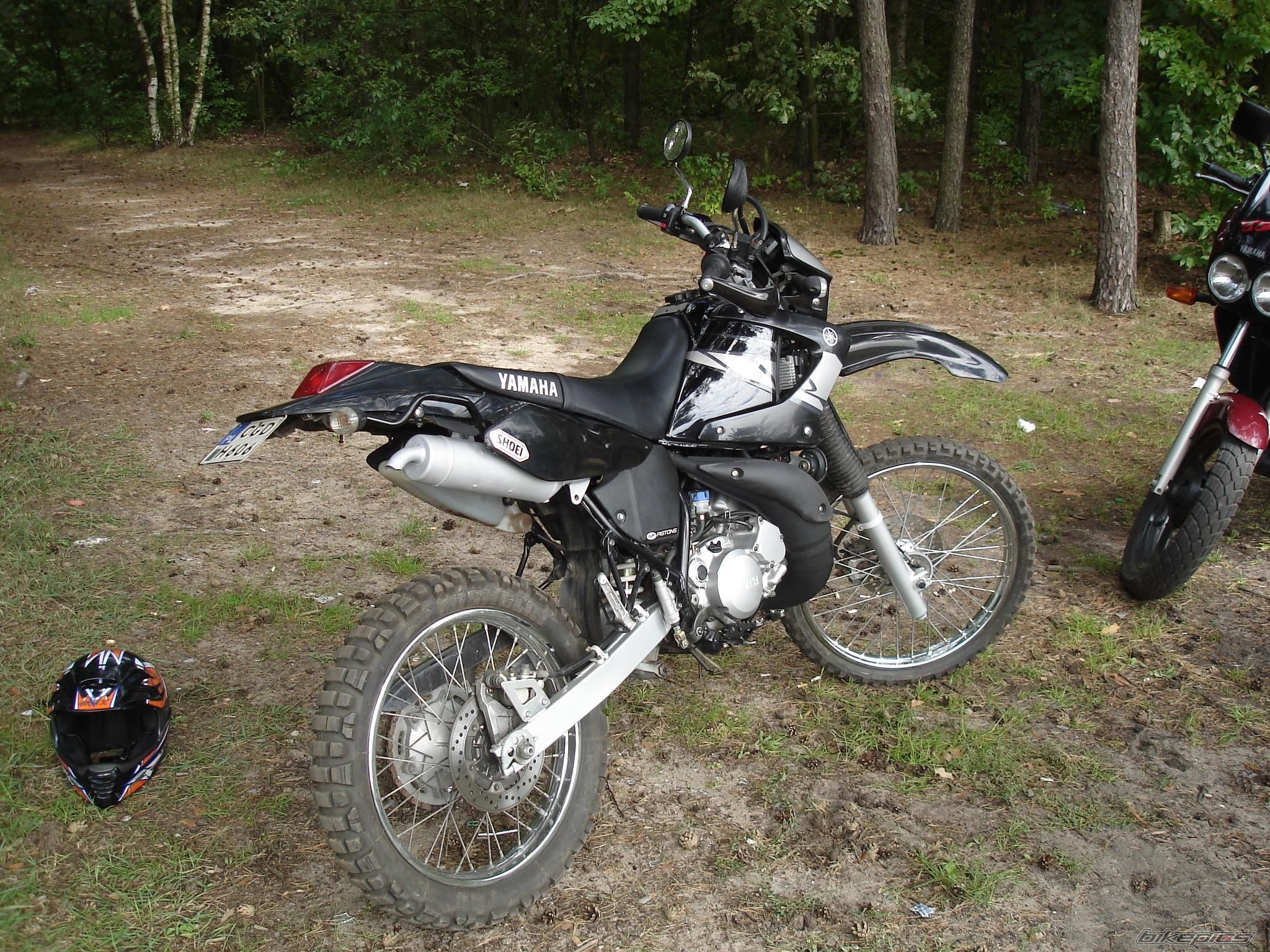 Photo 1012384