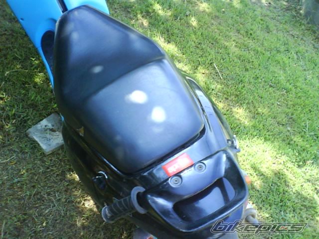Photo 1012421