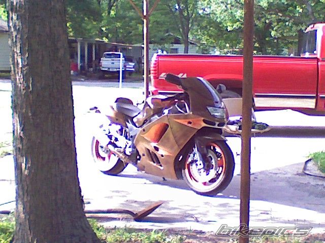 Photo 1012679