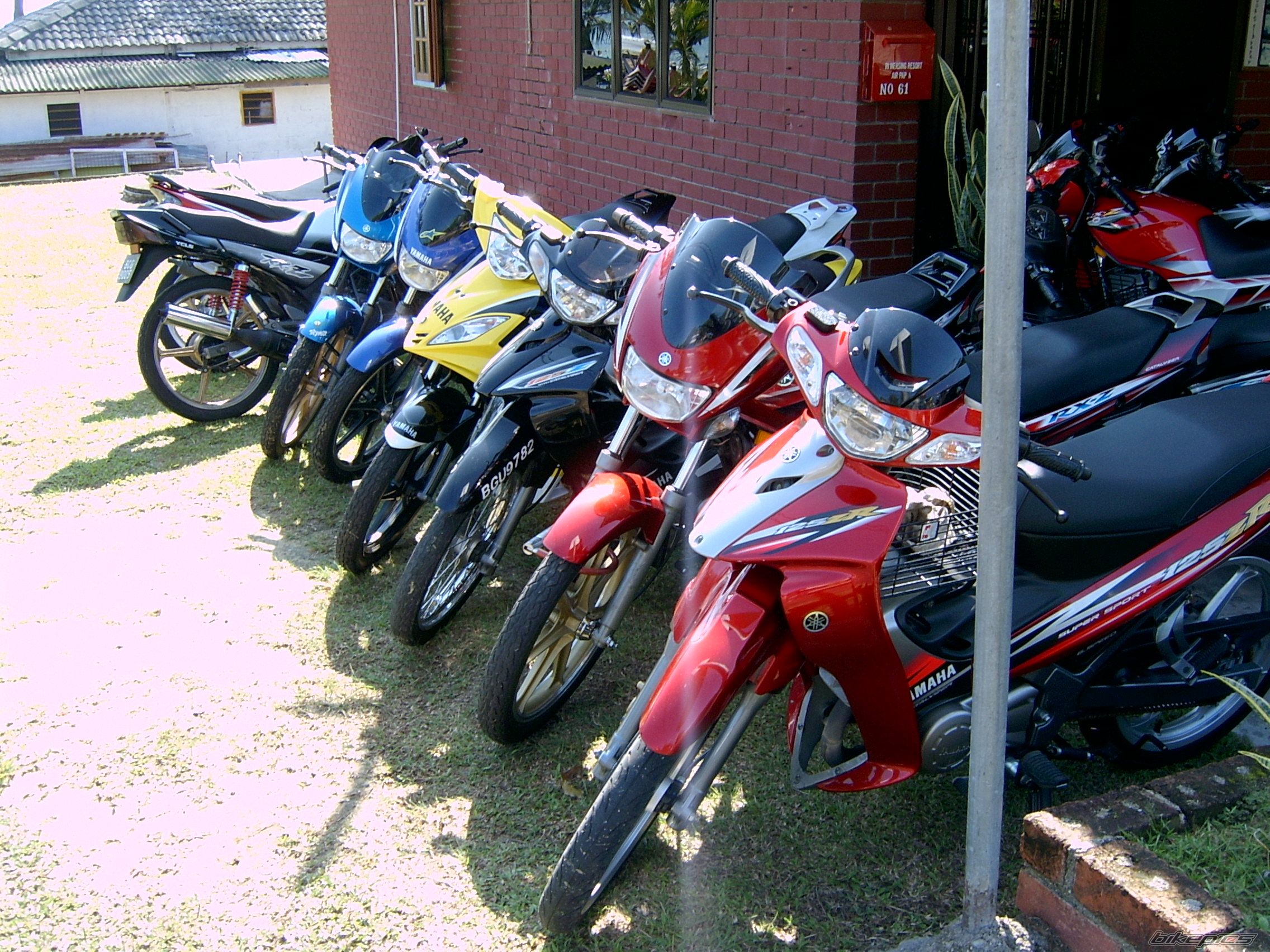 Photo 1012695