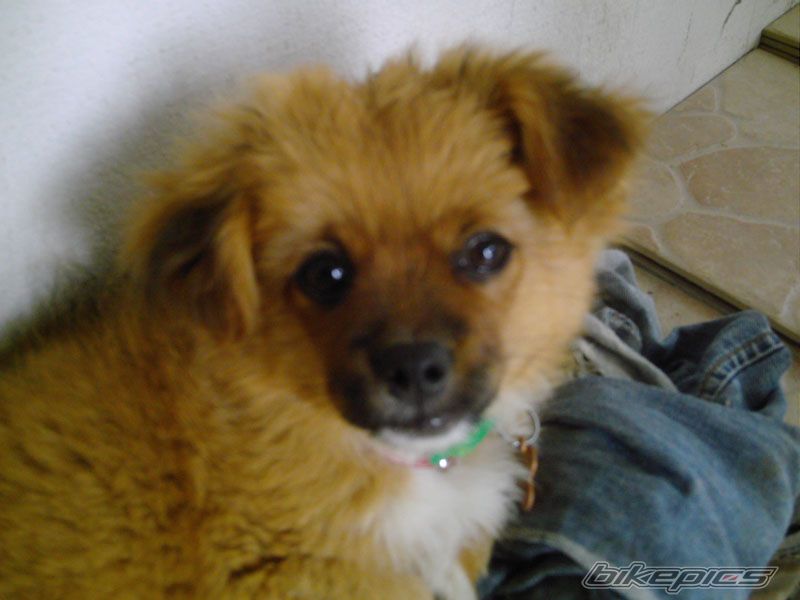 Photo 1013040