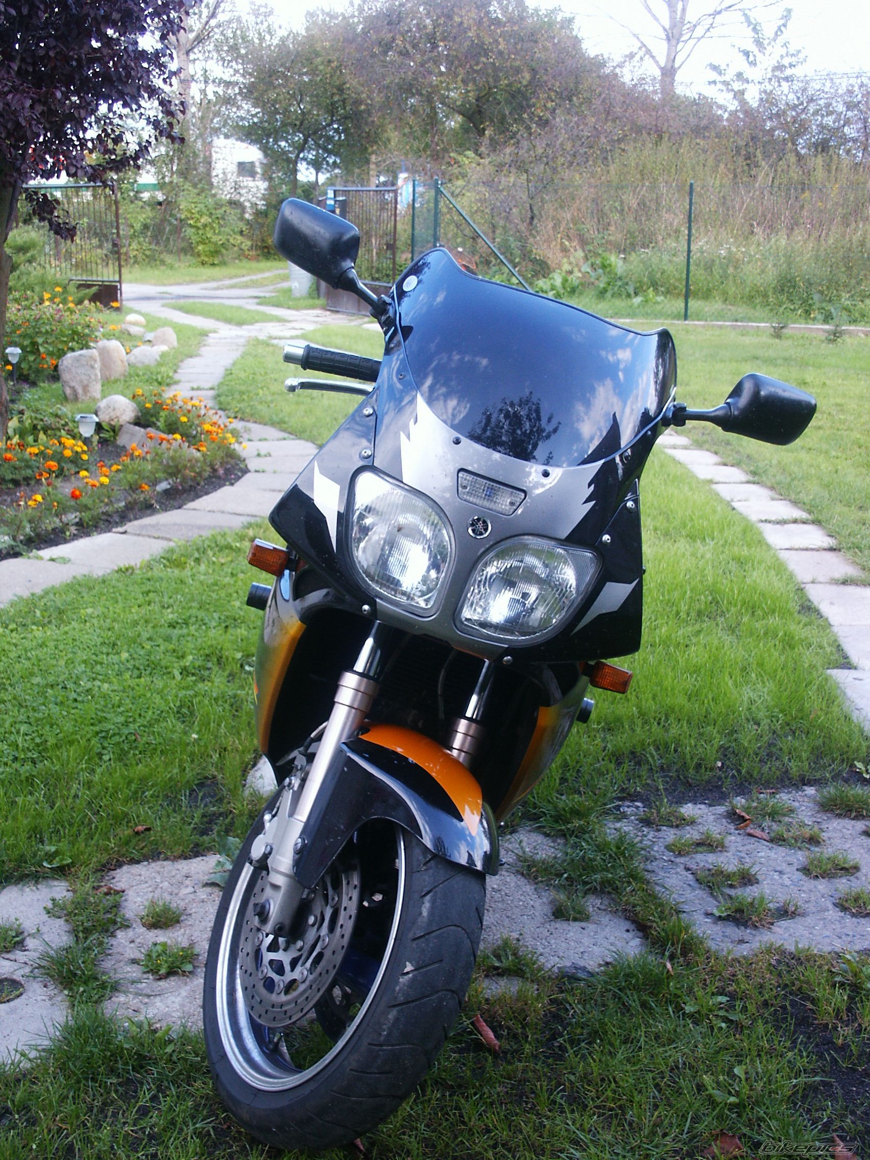 Photo 1013093