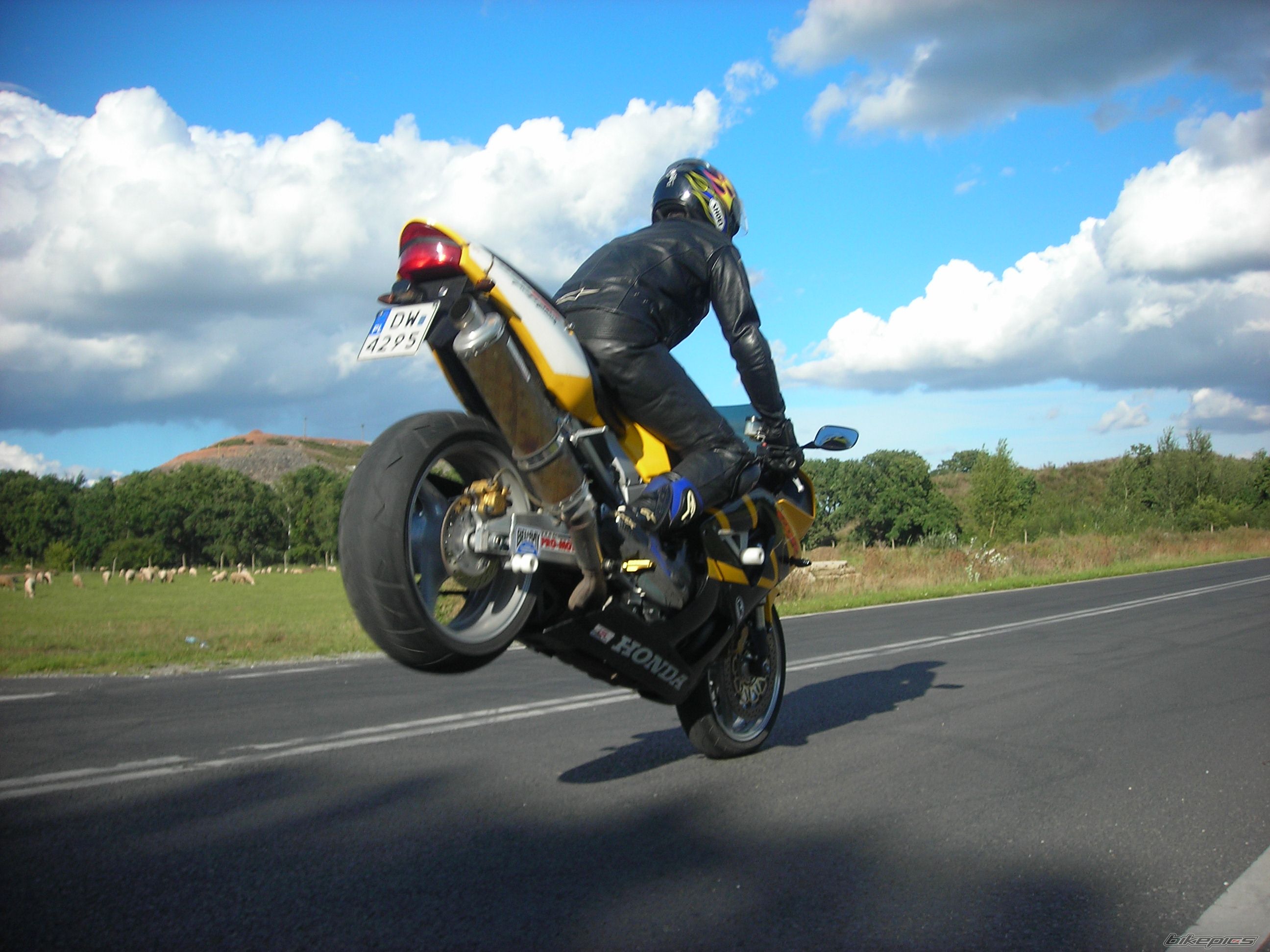 Bike Photo 1013295