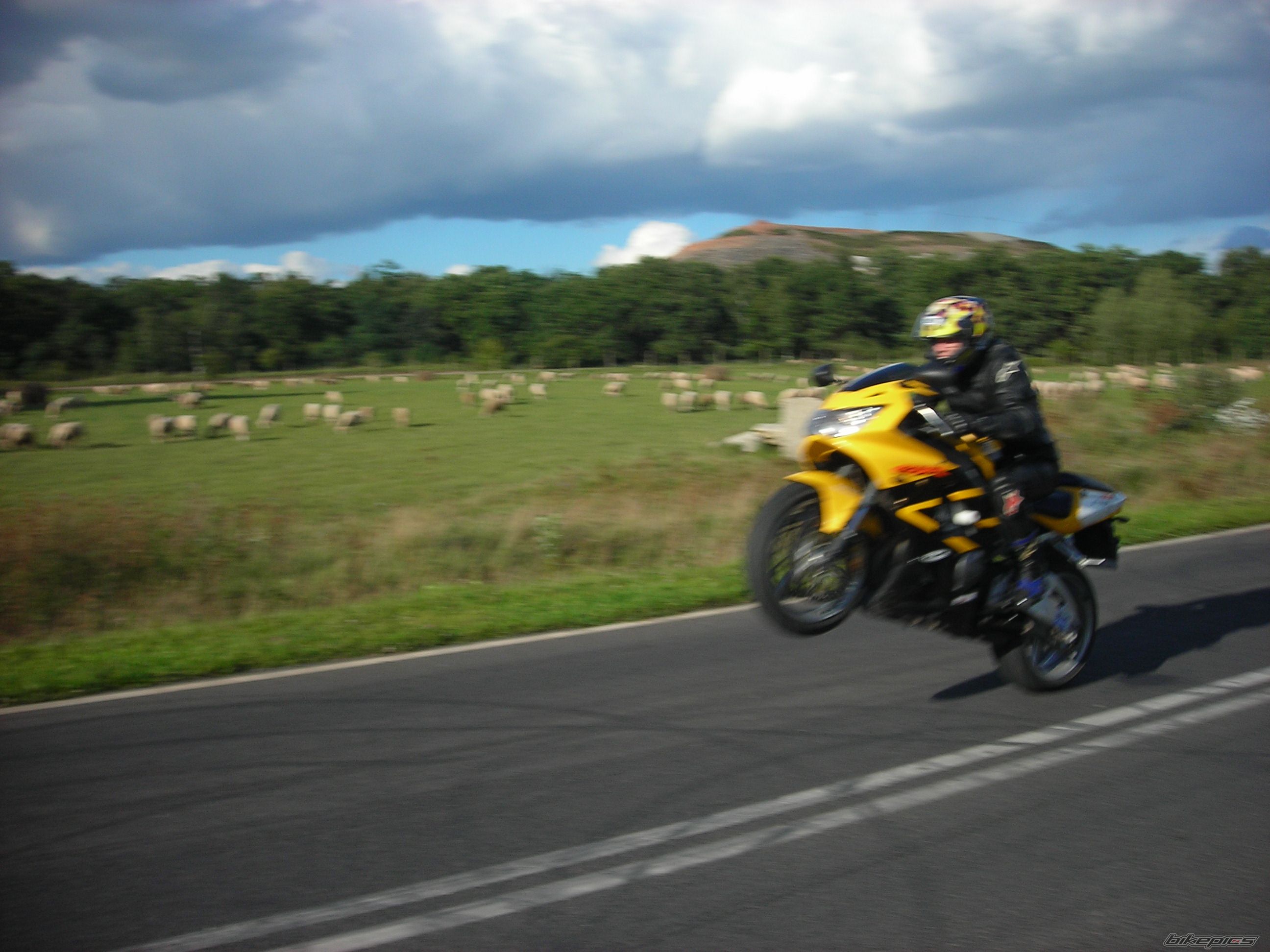 Bike Photo 1013298