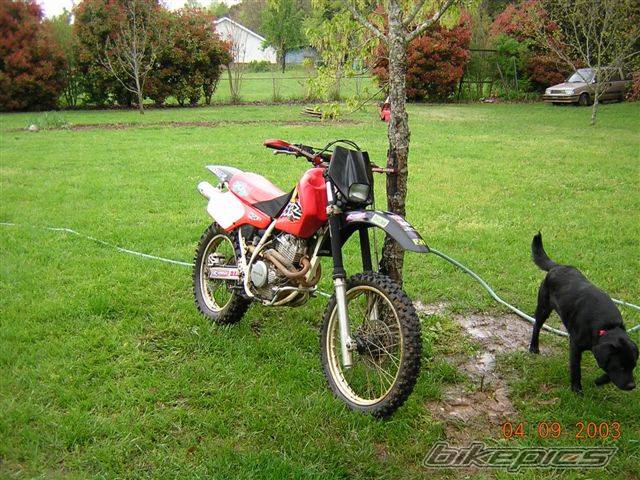 Bike Photo 101355