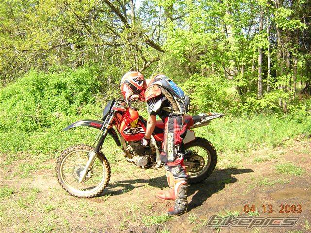 Photo 101358